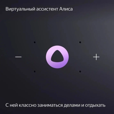 Умная колонка Yandex Станция Миди Алиса черный 24W 1.0 BT/Wi-Fi 10м (YNDX-00054BLK)