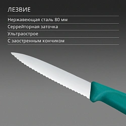 Нож кухонный Victorinox Swiss Classic (6.7634.C1) для чистки овощей и фруктов лезв.80мм серрейт. заточка зеленый