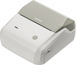 Термопринтер Niimbot B31 (1746801) 203dpi 80мм/с/USB/BT для печ.этик. светло-серый