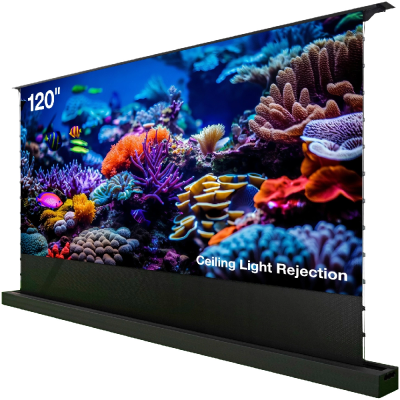 Экран Cactus 148x263см FloorRising CS-PSFRCLR-263X148 16:9 напольный рулонный черный (моторизованный привод)