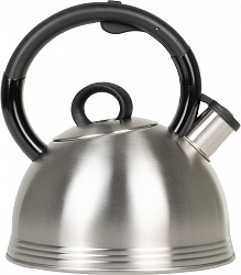 Чайник металлический Rondell Premiere RDS-237 2.4л. стальной