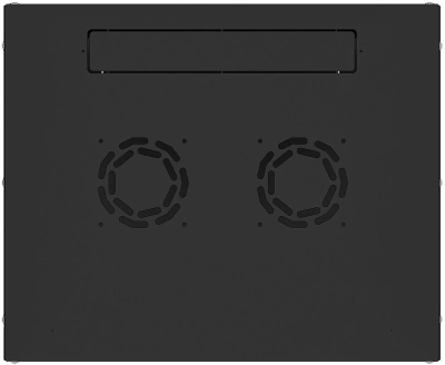 Шкаф коммутационный NTSS Lime (NTSS-WL6U5535GS-BL) настенный 6U 550x350мм пер.дв.стекл несъемн.бок.пан. 30кг черный 270мм 8.4кг 110град. 370мм IP20 сталь