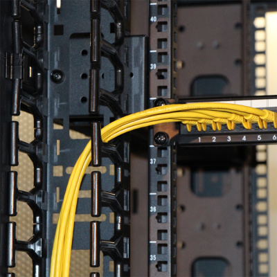 Кабельный органайзер вертикальный Lanmaster TWT-CBB-DVO-42U/M односторонний пальцы 42U шир.:19" глуб.:155мм (упак.:2шт)