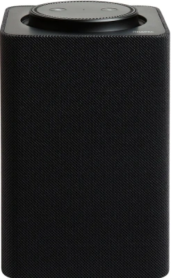 Умная колонка Yandex Станция Макс Zigbee Алиса графитовый 65W 1.0 BT/Wi-Fi 10м (YNDX-00053K)