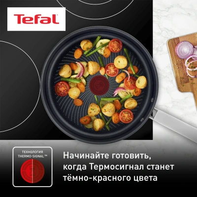 Сковорода Tefal Intuition B8170444 круглая 24см покрытие: Titanium ручка несъемная (без крышки) стальной (2100125769)