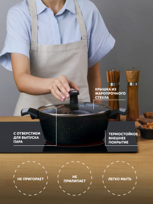 Кастрюля Polaris Monolit 24C 4л. d=24см (с крышкой) черный (015249)