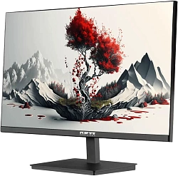 Монитор RDW Computers 23.8" RDW2401K черный IPS 4ms 16:9 HDMI матовая 300cd 178гр/178гр 1920x1080 100Hz VGA DP FHD 4.185кг (RUS)
