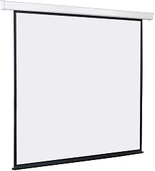 Экран Lumien 151" 280x280см Master Control LMC-100126 1:1 настенно-потолочный рулонный белый (моторизованный привод)