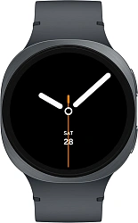 Смарт-часы Samsung Galaxy Watch 8 1.47" Super AMOLED корп.графитовый рем.графитовый (SM-L330NDAAXME)