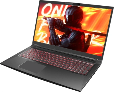 Ноутбук Maibenben X17A-R56035 Ryzen 5 6600H 16Gb SSD512Gb NVIDIA GeForce RTX 3050 4Gb 17.3" IPS FHD (1920x1080) Linux black WiFi BT Cam 4100mAh (X17A-R56035FFSLBRE0)