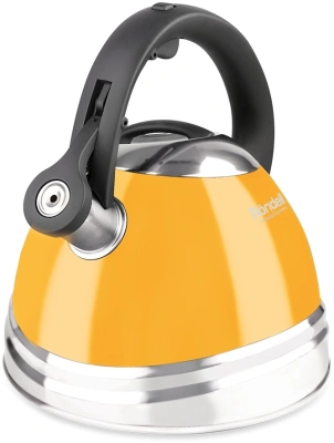 Чайник металлический Rondell Sole RDS-908 3л. желтый