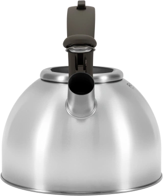 Чайник металлический Rondell Balance RDS-434 3л. стальной