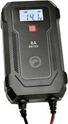Зарядное устройство Berkut BC-8A