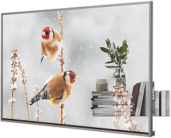Панель LG 55" 55EW5P-M серебристый OLED LED 1ms 16:9 HDMI матовая 1100:1 400cd 178гр/178гр 1920x1080 DP FHD USB 13.9кг