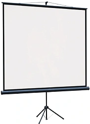 Экран Lumien 88" 115x200см Eco Picture LEV-100114 16:9 напольный натяжной белый