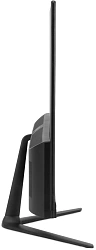 Моноблок IRU P231 23.8" Full HD N100 (0.8) 8Gb SSD256Gb UHDG Windows 11 Pro GbitEth WiFi BT 36W Cam черный 1920x1080