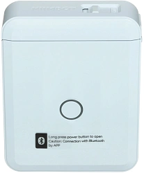 Термопринтер Niimbot D110 M (1746805) 203dpi 40мм/с/USB/BT для печ.этик. голубой