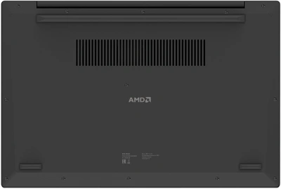 Ноутбук Digma EVE A5820 Ryzen 3 3200U 8Gb SSD256Gb AMD Radeon Graphics 15.6" IPS FHD (1920x1080) Windows 11 Pro black WiFi BT Cam 4500mAh (DN15R3-8CXW02)