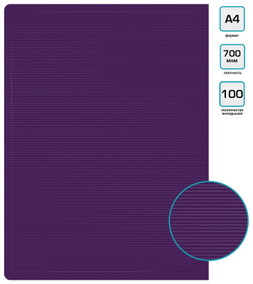 Папка с 100 прозр.вклад. Бюрократ DeLuxe DLVBOX100BBERRY A4 пластик 0.7мм черничный в коробе