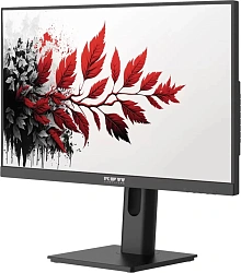 Монитор RDW Computers 27" RDW2701K черный IPS 1ms HDMI M/M матовая HAS Piv 350cd 178гр/178гр 2560x1440 100Hz DP QHD (RUS)