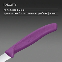 Нож кухонный Victorinox Swiss Classic (6.7635.C1) для чистки овощей и фруктов лезв.80мм серрейт. заточка пурпурный