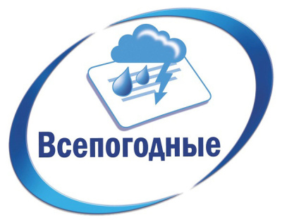 Этикетки Avery Zweckform L6013-8 A4 210x297мм 1шт на листе/198г/м2/8л./серебристый самоклей. для лазерной печати