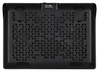 Подставка для ноутбука Digma D-NCP156-2 15.6"360x260x27мм 2xUSB 2x 120ммFAN 650г черный