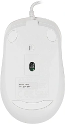 Мышь A4Tech Fstyler FM10 белый/серый оптическая 1600dpi USB 4but (FM10 WHITE)