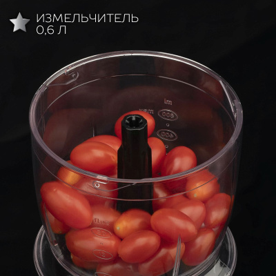 Блендер погружной Scarlett Silver Line SC-HB42F73 1000Вт черный