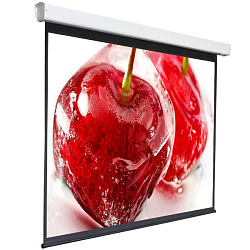 Экран Digis 150" 220x300см Electra-F DSEF-4305 4:3 настенно-потолочный рулонный (моторизованный привод)