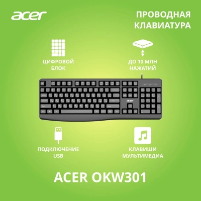 Клавиатура Acer OKW301 черный USB Multimedia для ноутбука (ZL.KBDCC.01A)