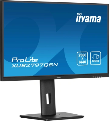Монитор Iiyama 27" ProLite XUB2797QSN-B2 черный IPS LED 16:9 HDMI M/M матовая HAS Piv 1300:1 300cd 178гр/178гр 2560x1440 100Hz DP Quad HD 2K (1440p) USB 6.1кг