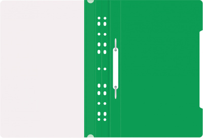 Папка-скоросшиватель Бюрократ PS-P20GRN A4 прозрач.верх.лист боков.перф. пластик зеленый 0.12/0.16