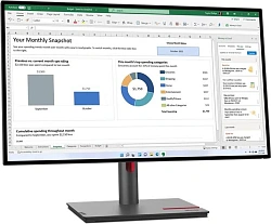 Монитор Lenovo 27" ThinkVision P27h-30 черный IPS LED 6ms 16:9 DVI HDMI матовая HAS Piv 1000:1 350cd 178гр/178гр 2560x1440 60Hz DP 2K USB 7кг