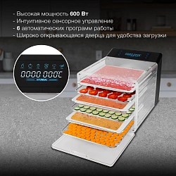 Сушка для фруктов и овощей Hyundai HYFD-8800 12под. 600Вт черный