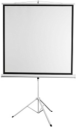 Экран Digis 86" 130x172см Kontur-D DSKD-4302 4:3 напольный рулонный