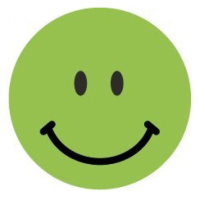 Этикетки Avery Zweckform 3858 250шт на листе диаметр 19мм/70г/м2/зеленый самоклей. универсальная