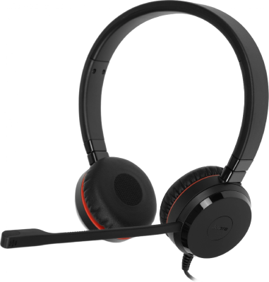 Наушники с микрофоном Jabra Evolve 20 SE черный 1.2м накладные USB оголовье (4999-823-309)