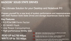 Накопитель SSD AMD PCIe 3.0 x4 256GB R5MP256G8 Radeon M.2 2280