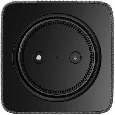 Умная колонка Yandex Станция Макс Zigbee Алиса графитовый 65W 1.0 BT/Wi-Fi 10м (YNDX-00053K)
