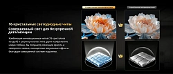 Телевизор LED Skyworth 65" 65X67H Nexo Mini-LED черный/серый 4K Ultra HD 120Hz DVB-T DVB-T2 DVB-C DVB-S DVB-S2 USB WiFi Smart TV
