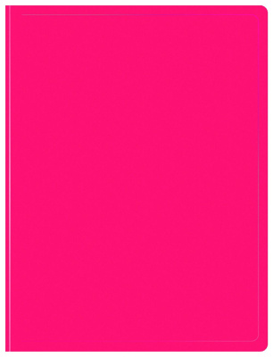 Папка с 20 прозр.вклад. Бюрократ Double Neon DNE07V20PINK A4 пластик 0.7мм розовый