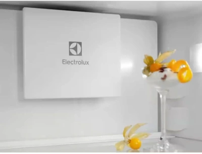 Холодильник Electrolux ENT6ME19S 2-хкамерн.