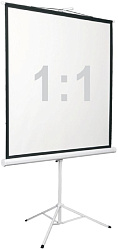 Экран Digis 96" 172x172см Kontur-D DSKD-1104 1:1 напольный рулонный