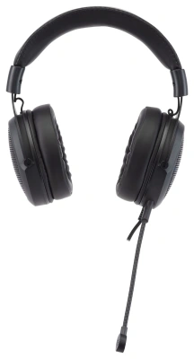 Наушники с микрофоном Acer AHW120 черный 2.1м мониторные USB оголовье (ZL.HDSCC.01C)