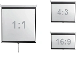 Экран Digis 167" 300x300см Optimal-D DSOD-1108 1:1 настенно-потолочный рулонный