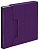 Папка с 80 прозр.вклад. Бюрократ DeLuxe DLVBOX80BBERRY A4 пластик 0.7мм черничный в коробе