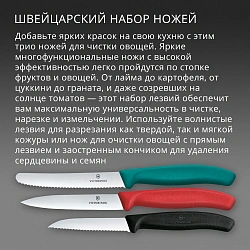 Набор ножей Victorinox Swiss Classic 6.7116.34C1 для овощей компл.:3предм. ассорти европодвес