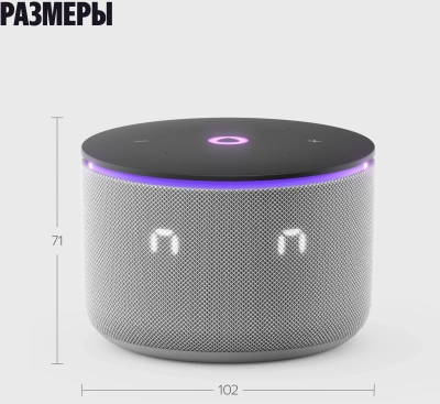 Умная колонка Yandex Станция Мини 3 Про Алиса серый 18W 2.0 BT/Wi-Fi (YNDX-00059GRY)