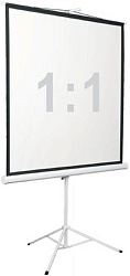 Экран Digis 84" 150x150см Kontur-D DSKD-1103 1:1 напольный рулонный